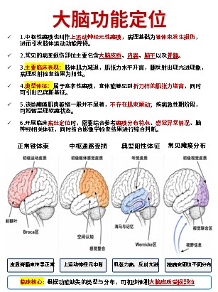 456期-科普文档-护理知识合集第5页预览