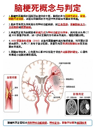 456期-科普文档-护理知识合集第6页预览