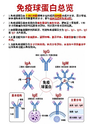 456期-科普文档-护理知识合集第7页预览