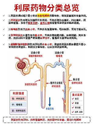 456期-科普文档-护理知识合集第8页预览
