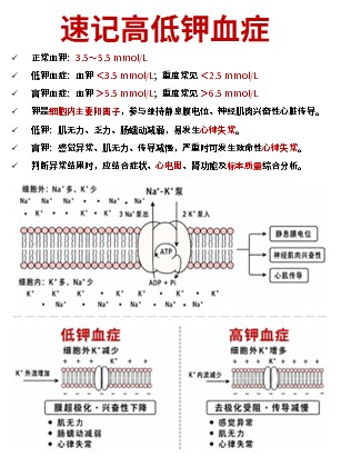 456期-科普文档-护理知识合集第9页预览