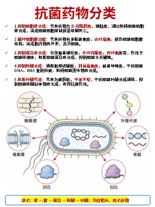 456期-科普文档-护理知识合集第10页预览