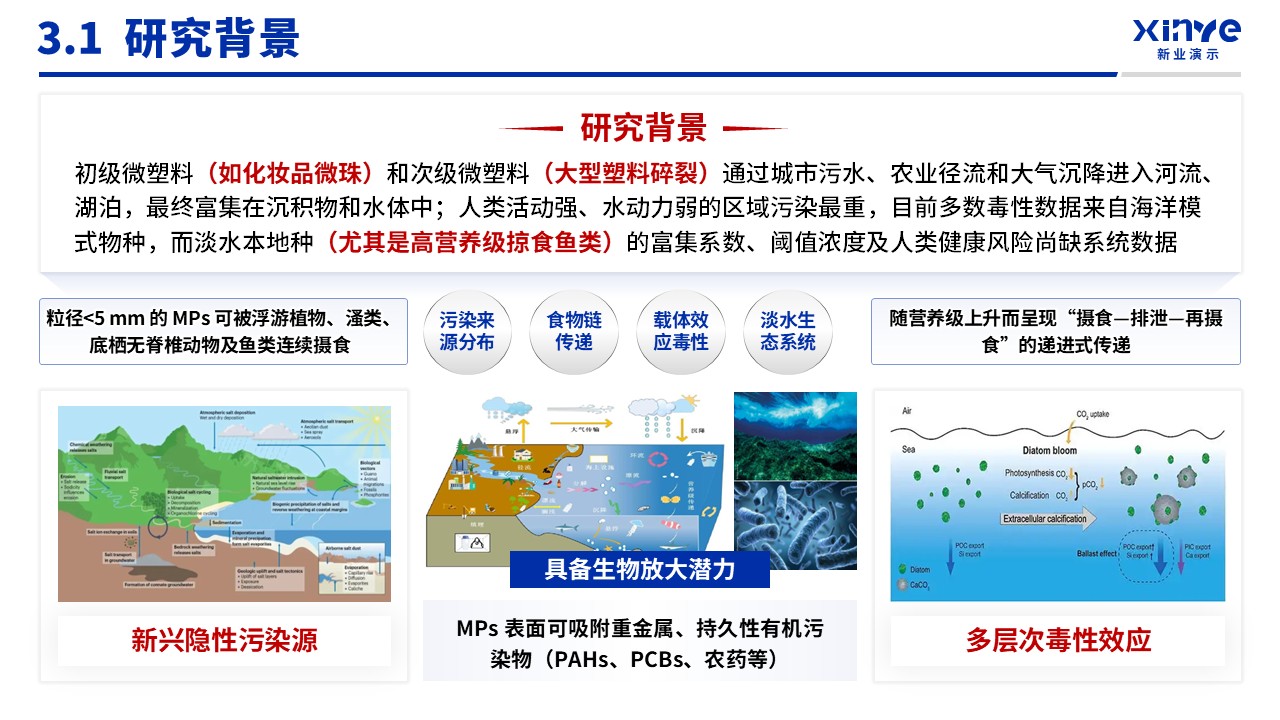 博士入学申请答辩（淡水食物链-蓝色）第11页预览图