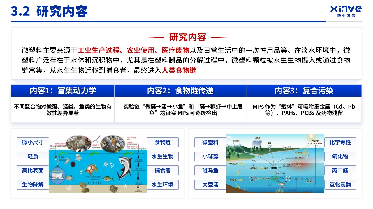 博士入学申请答辩（淡水食物链-蓝色）第12页预览图