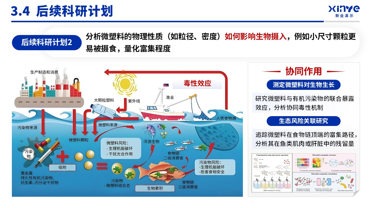 博士入学申请答辩（淡水食物链-蓝色）第14页预览图
