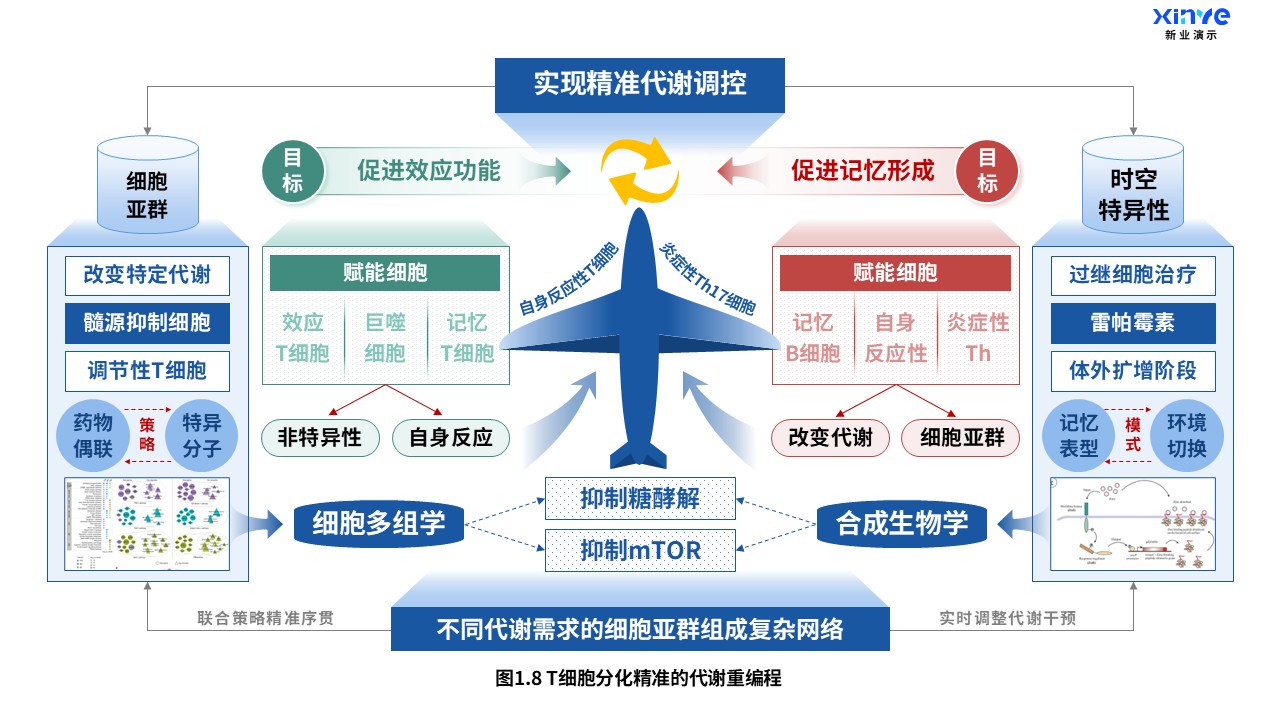 24-2科研架构图（T细胞分化-蓝红绿）第8页预览图
