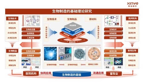 31-1科研架构图(生物制造的基础研究理论-红蓝橙)