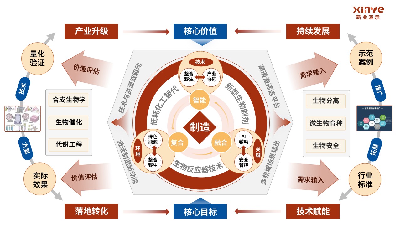 31-1科研架构图（生物制造的基础研究理论-红蓝橙）第2页预览图