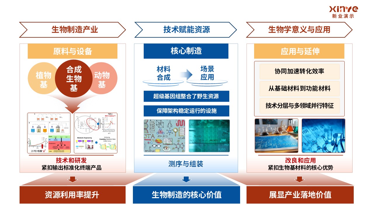 31-1科研架构图（生物制造的基础研究理论-红蓝橙）第3页预览图