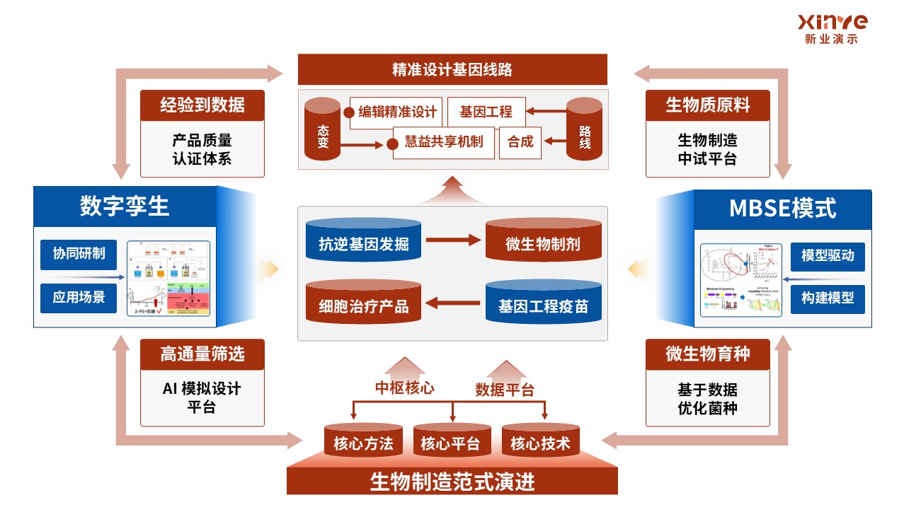 31-1科研架构图（生物制造的基础研究理论-红蓝橙）第4页预览图