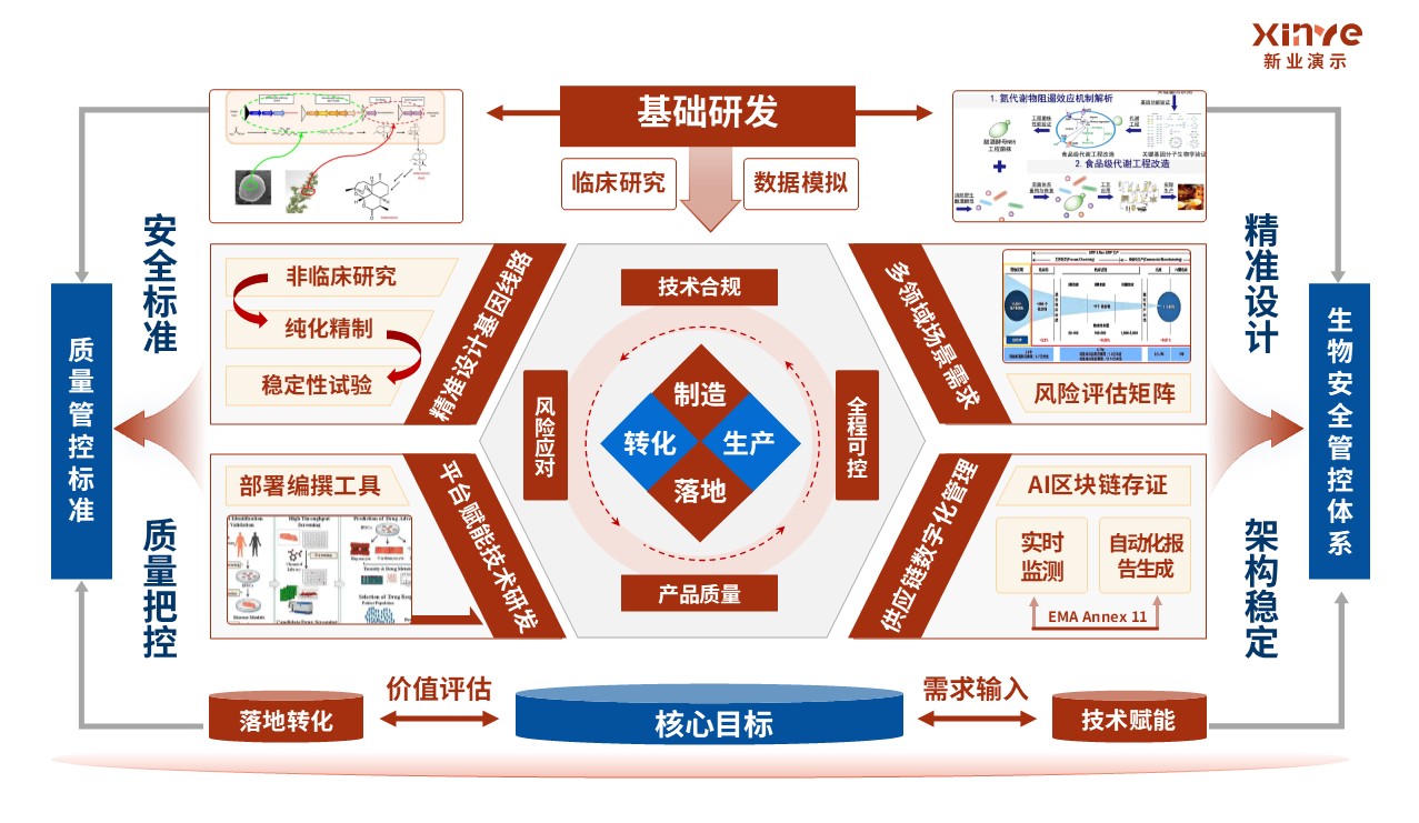 31-1科研架构图（生物制造的基础研究理论-红蓝橙）第5页预览图