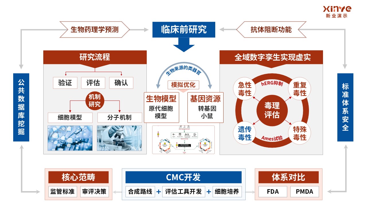 31-1科研架构图（生物制造的基础研究理论-红蓝橙）第6页预览图