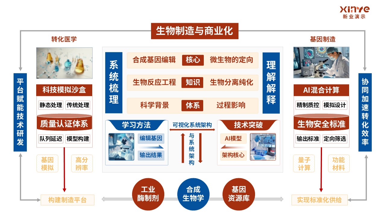 31-1科研架构图（生物制造的基础研究理论-红蓝橙）第8页预览图