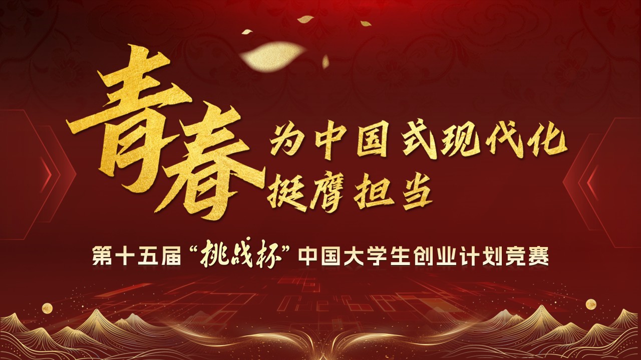 《云梭数锦》挑战杯 （小挑）第13页预览图