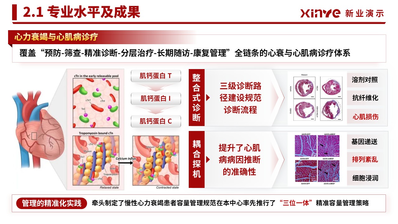 副院长竞聘汇报(心肌重构-红色）第6页预览图