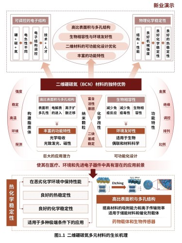 12-1科研架构图(二维硼碳氮多元材料-棕黄)