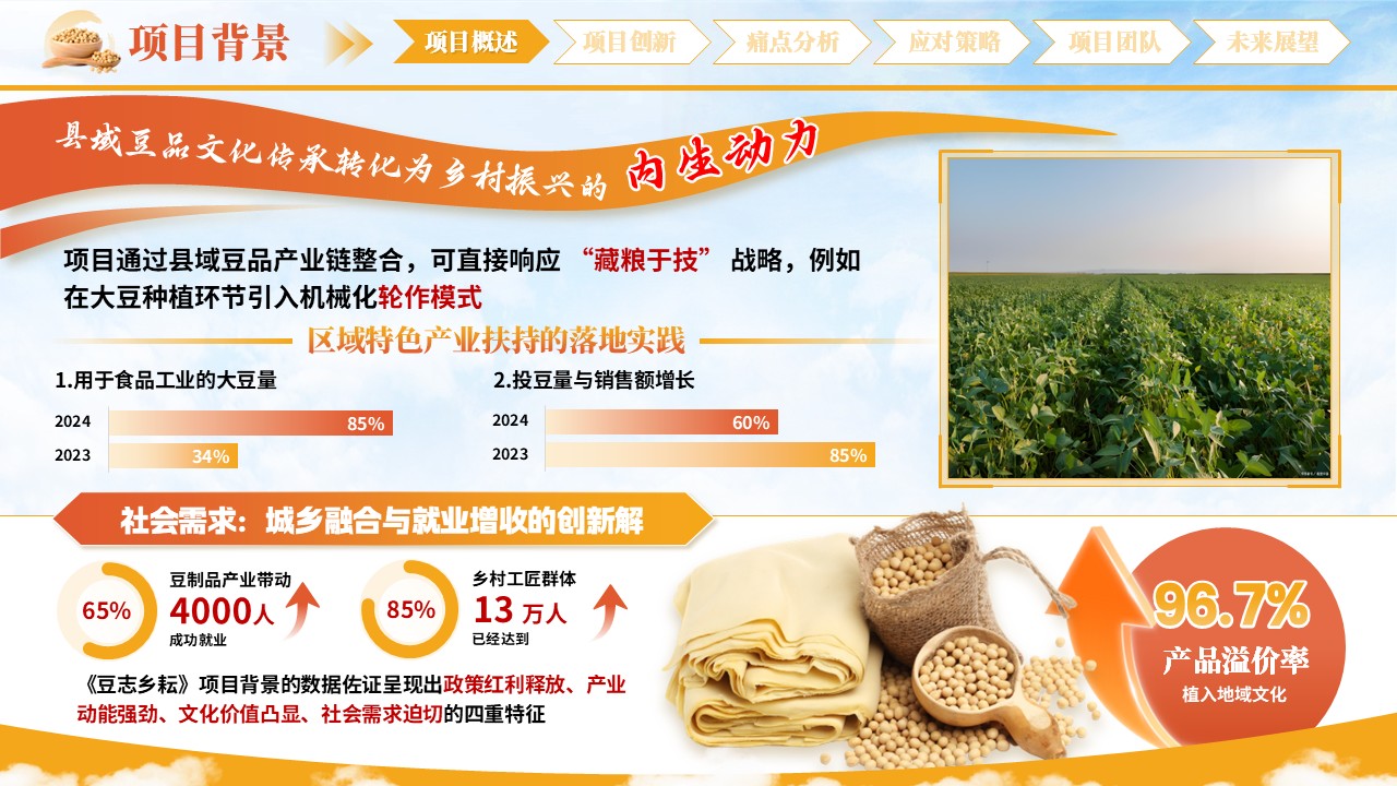 《豆智乡耘》-大创赛第3页预览图