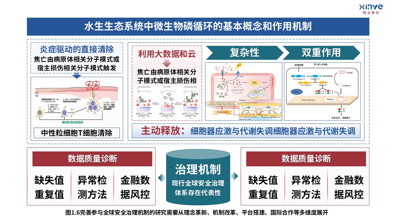 5-1科研架构图（全球安全治理机制研究-蓝红绿）第6页预览图