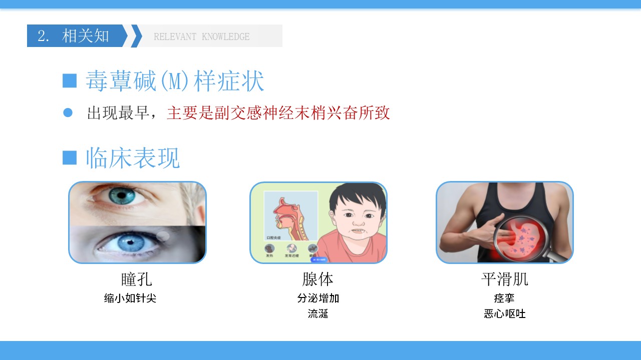05-有机磷中毒护理第8页预览