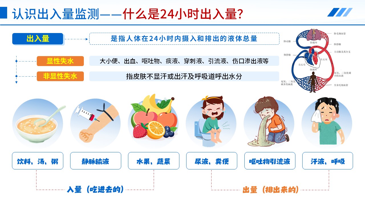 102期-科普宣教-24 小时出入量监测第6页预览
