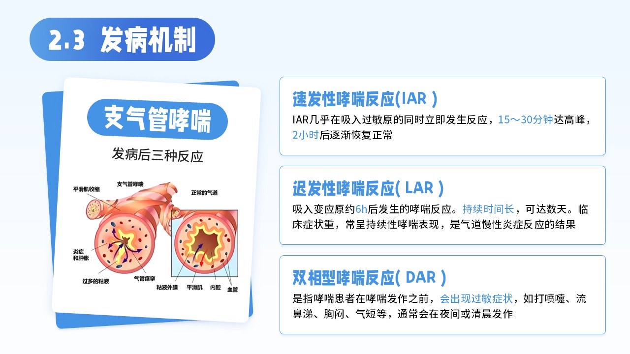 12-支气管哮喘的护理查房第8页预览