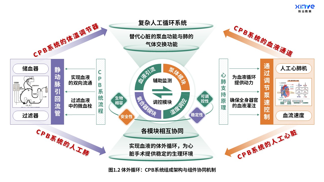 52-2 科研架构图（体外循环系统与心肺支持原理-绿黄紫）第2页预览图
