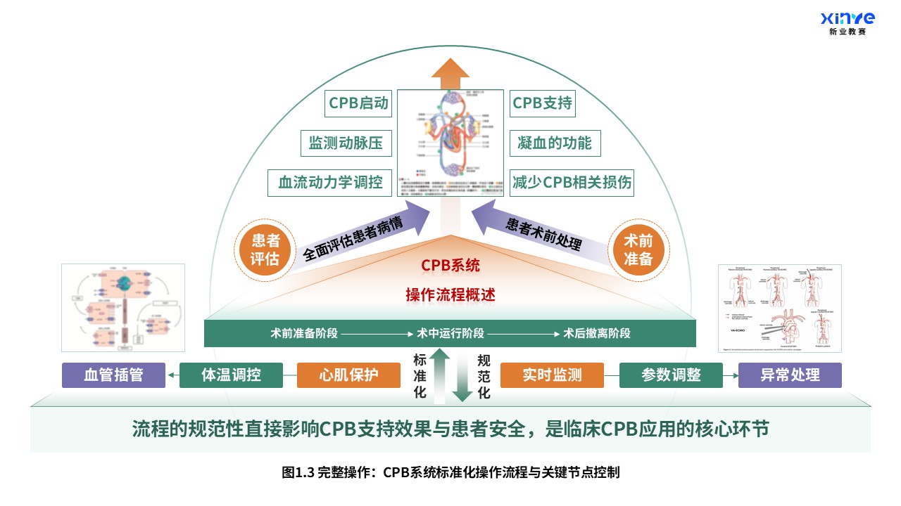 52-2 科研架构图（体外循环系统与心肺支持原理-绿黄紫）第3页预览图
