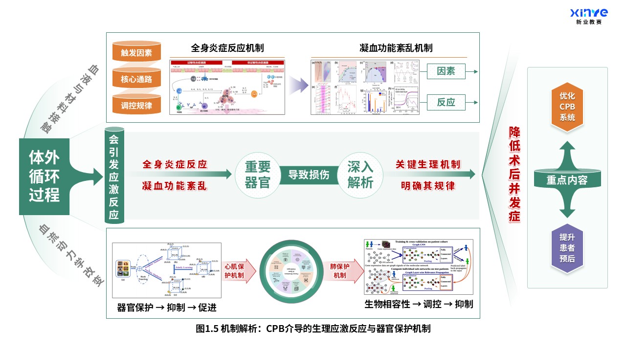 52-2 科研架构图（体外循环系统与心肺支持原理-绿黄紫）第5页预览图