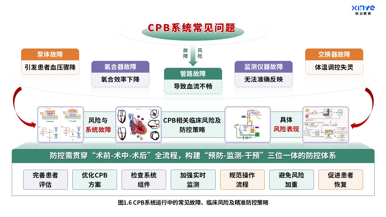 52-2 科研架构图（体外循环系统与心肺支持原理-绿黄紫）第6页预览图