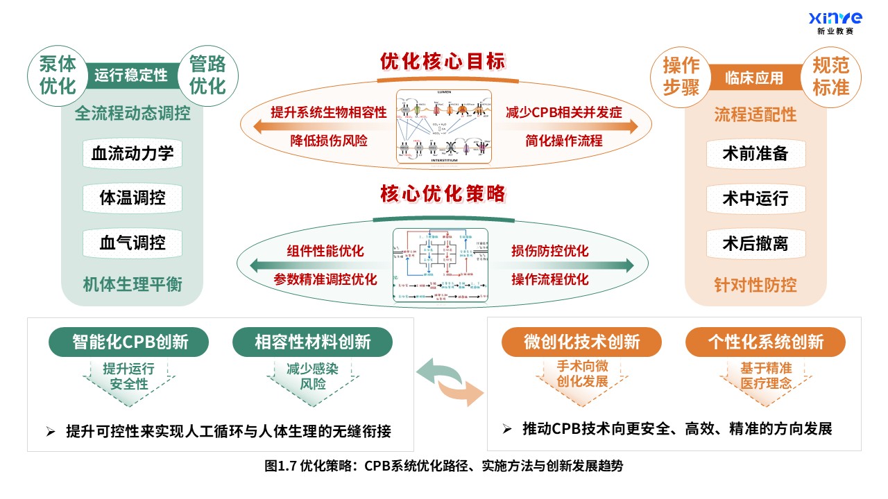 52-2 科研架构图（体外循环系统与心肺支持原理-绿黄紫）第7页预览图