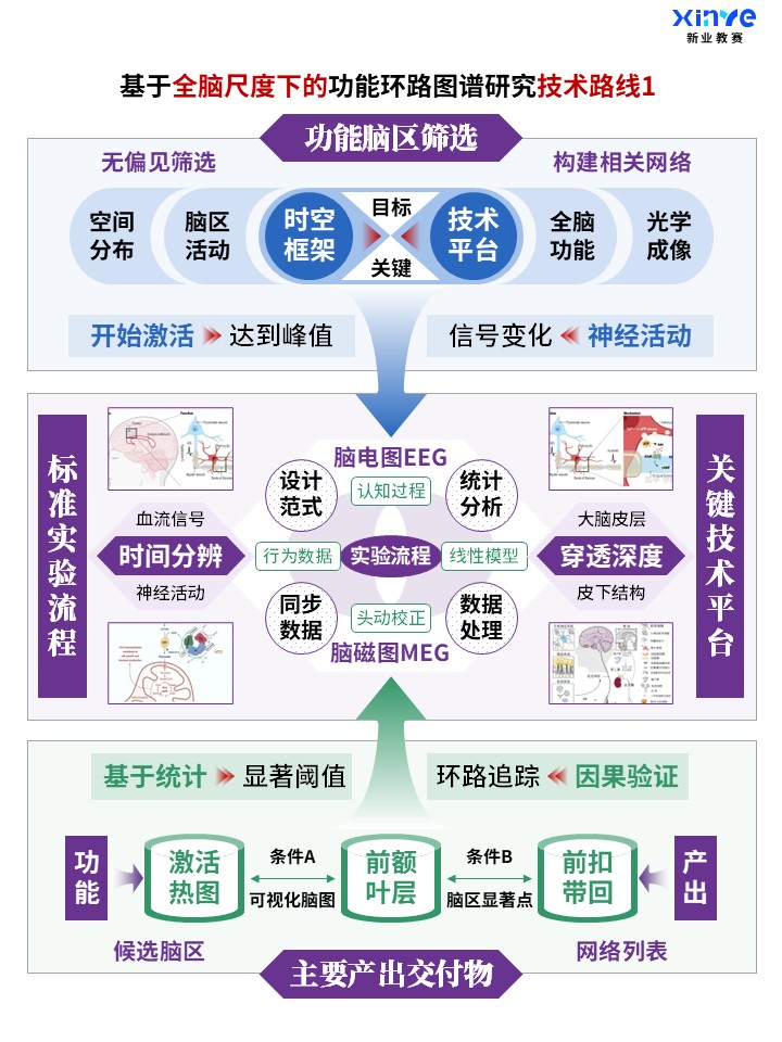 62-1科研架构图 (全脑功能环路图谱-紫蓝绿)第1页预览图