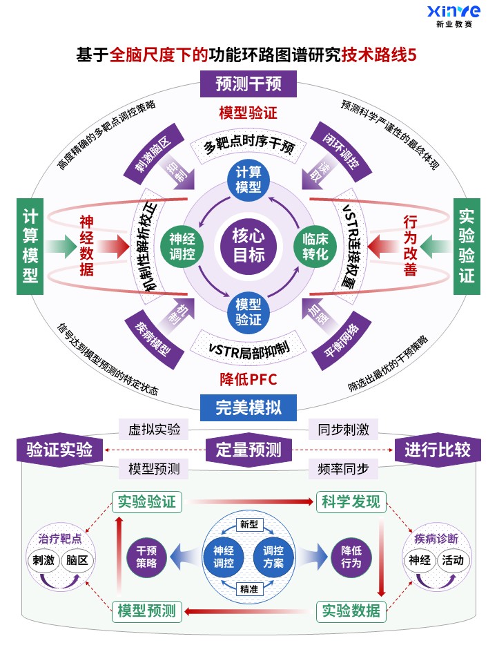 62-1科研架构图 (全脑功能环路图谱-紫蓝绿)第5页预览图
