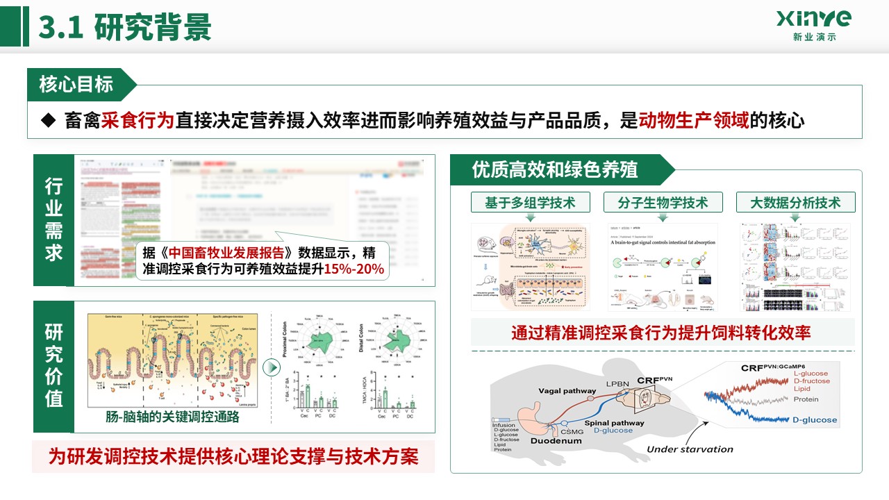 副教授职级评选(畜禽采食的肠 - 脑轴机制-绿色)第10页预览图