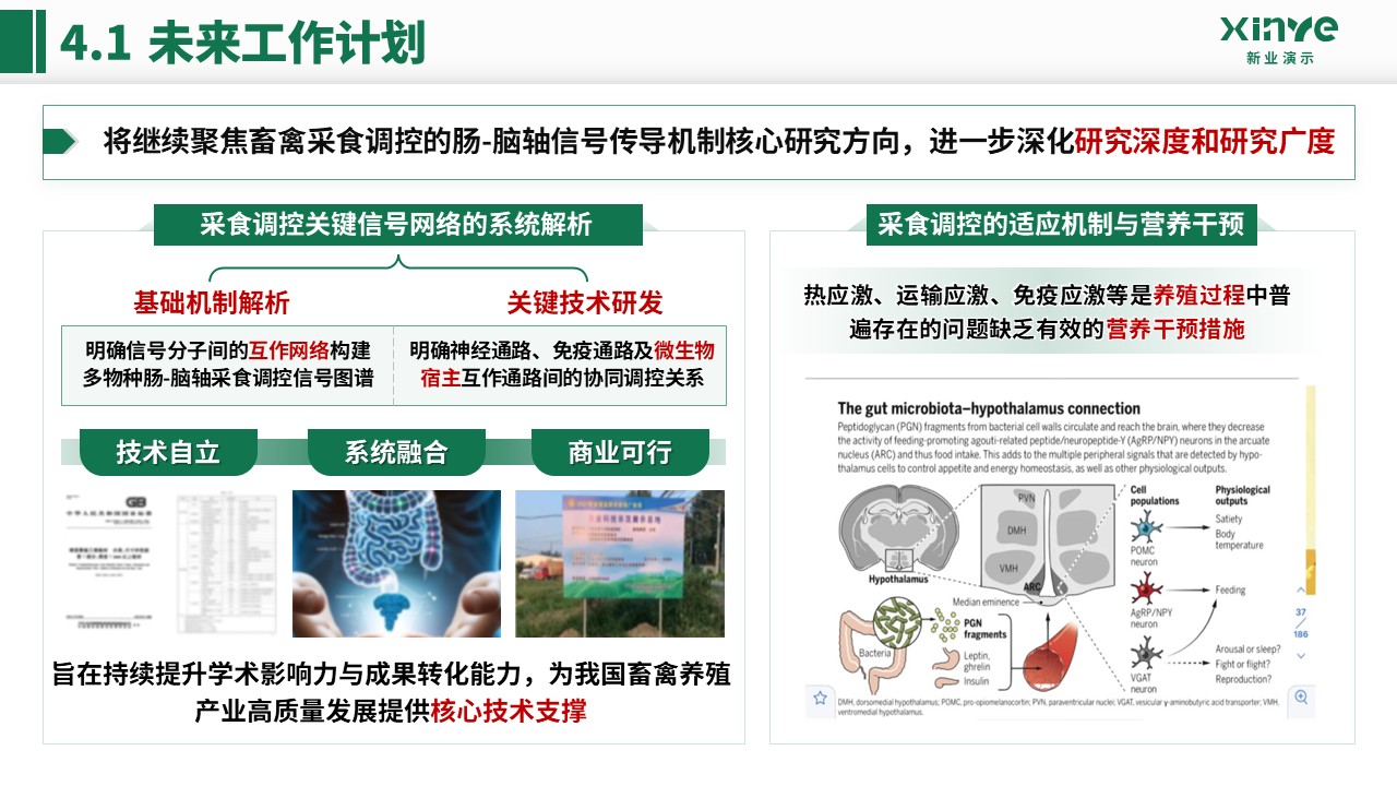 副教授职级评选(畜禽采食的肠 - 脑轴机制-绿色)第15页预览图