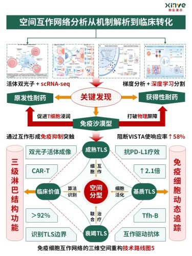 53-2技术路线图(免疫细胞互作网络-绿红橙)