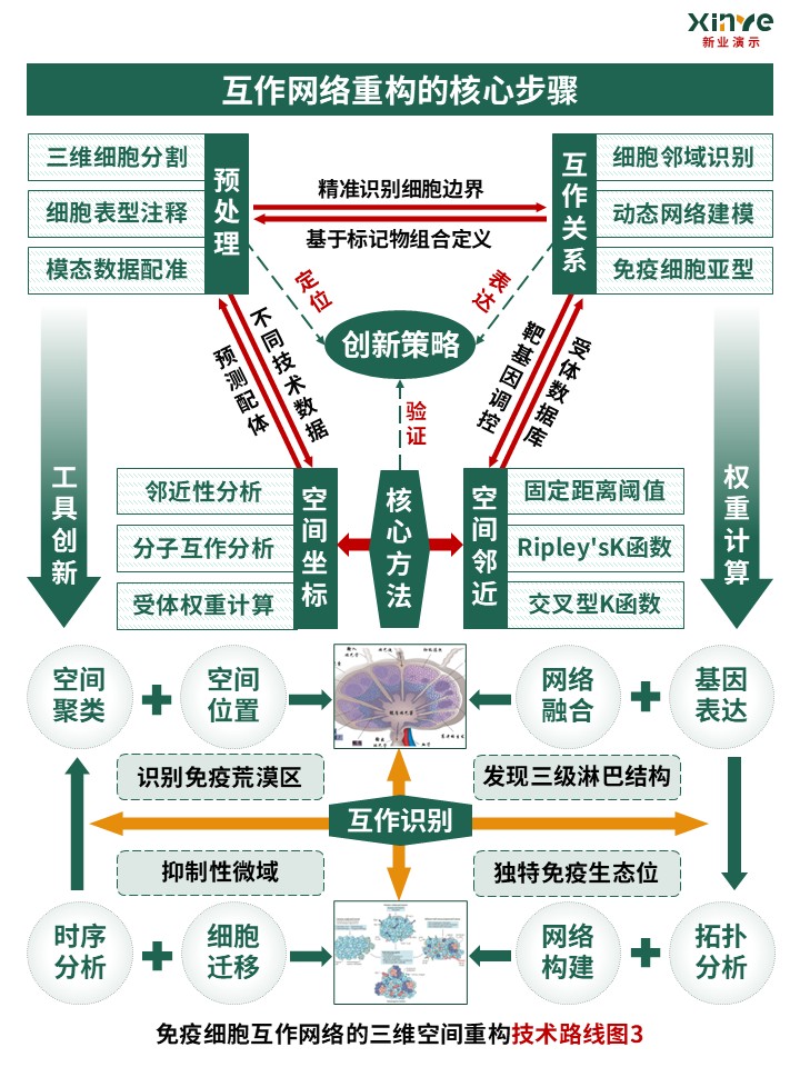 53-2技术路线图（免疫细胞互作网络-绿红橙）第2页预览图
