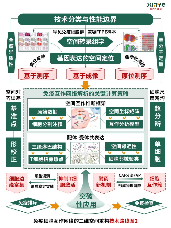 53-2技术路线图（免疫细胞互作网络-绿红橙）第3页预览图