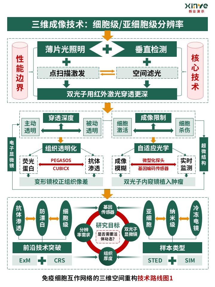 53-2技术路线图（免疫细胞互作网络-绿红橙）第4页预览图