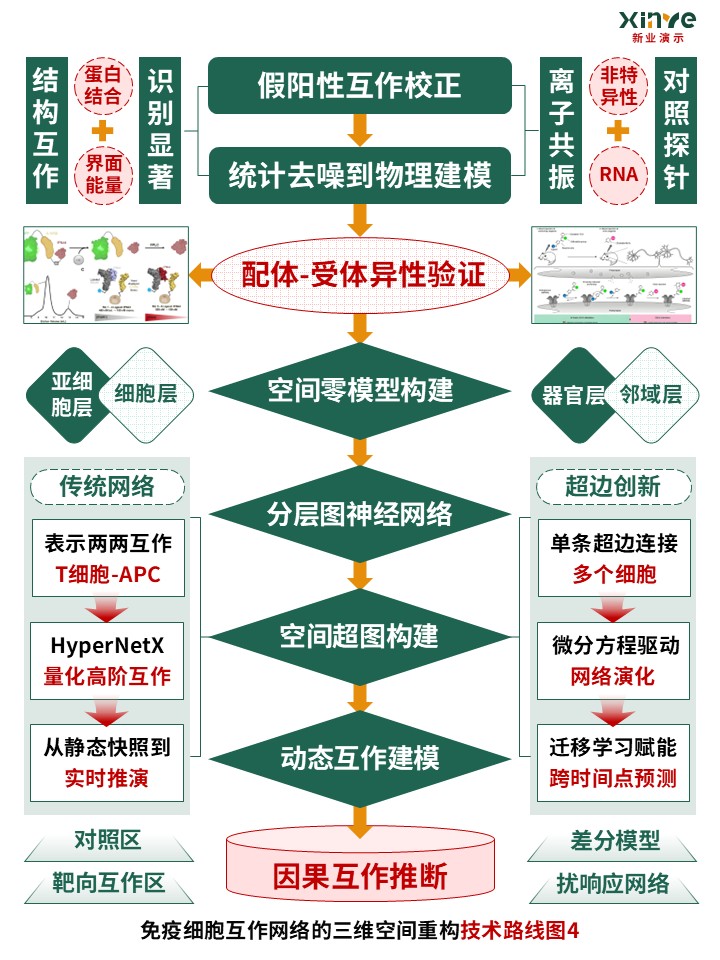 53-2技术路线图（免疫细胞互作网络-绿红橙）第5页预览图