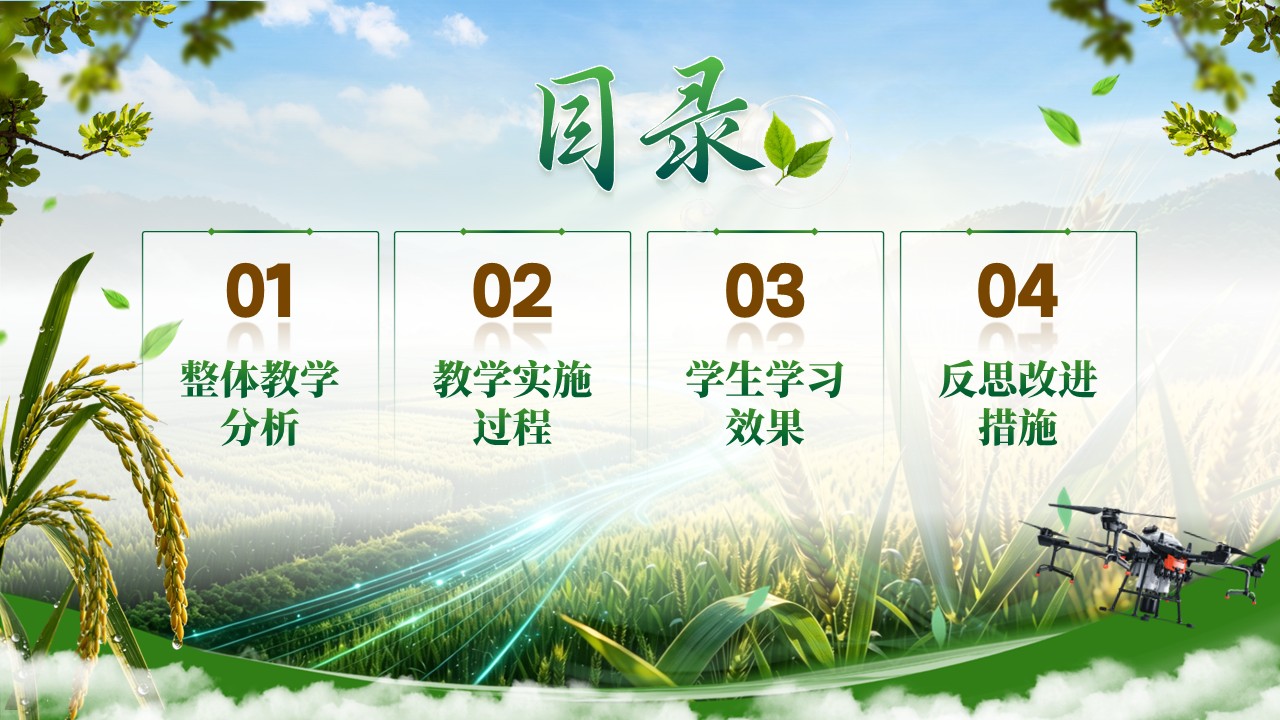 《慧眼巡天绿色护农》教学能力大赛第2页预览图