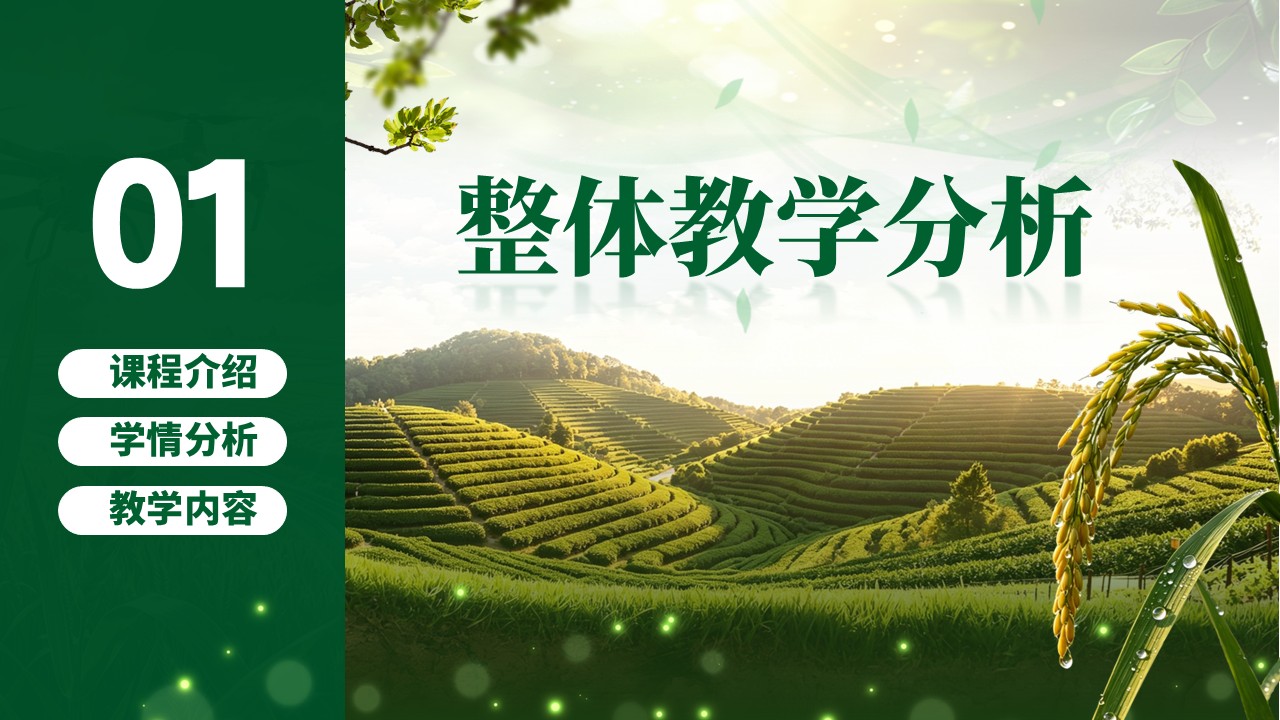 《慧眼巡天绿色护农》教学能力大赛第3页预览图