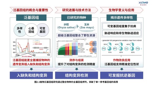 8-2技术路线图(迈向气候智能型育种-绿紫红)
