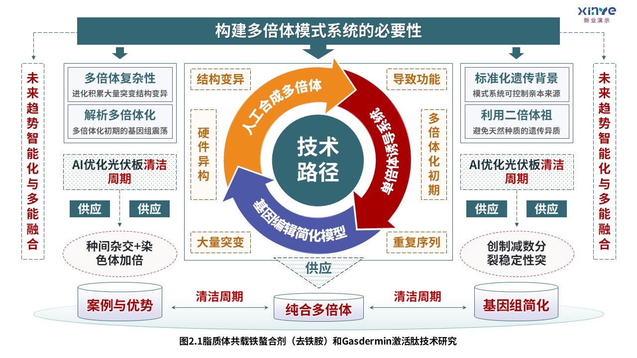 8-2技术路线图（迈向气候智能型育种-绿紫红）第3页预览图