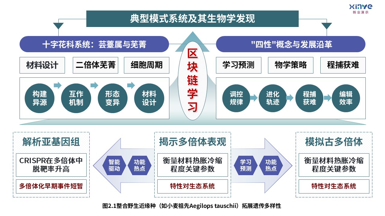 8-2技术路线图（迈向气候智能型育种-绿紫红）第4页预览图
