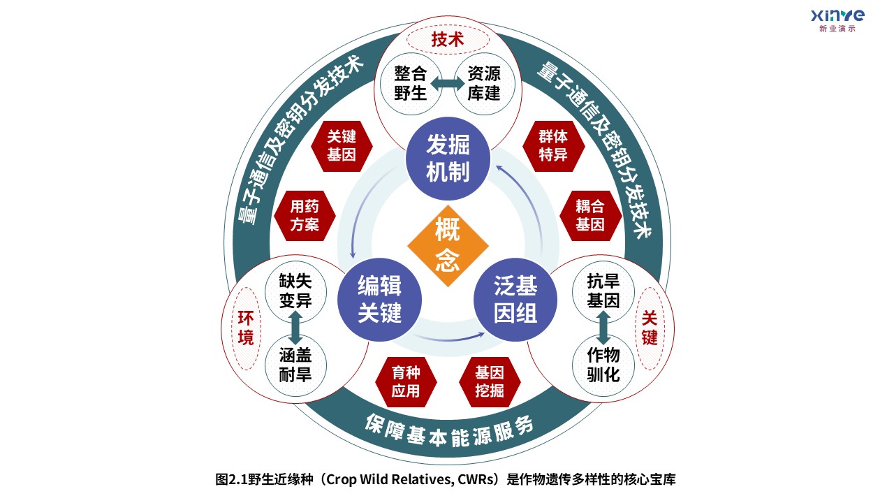 8-2技术路线图（迈向气候智能型育种-绿紫红）第5页预览图
