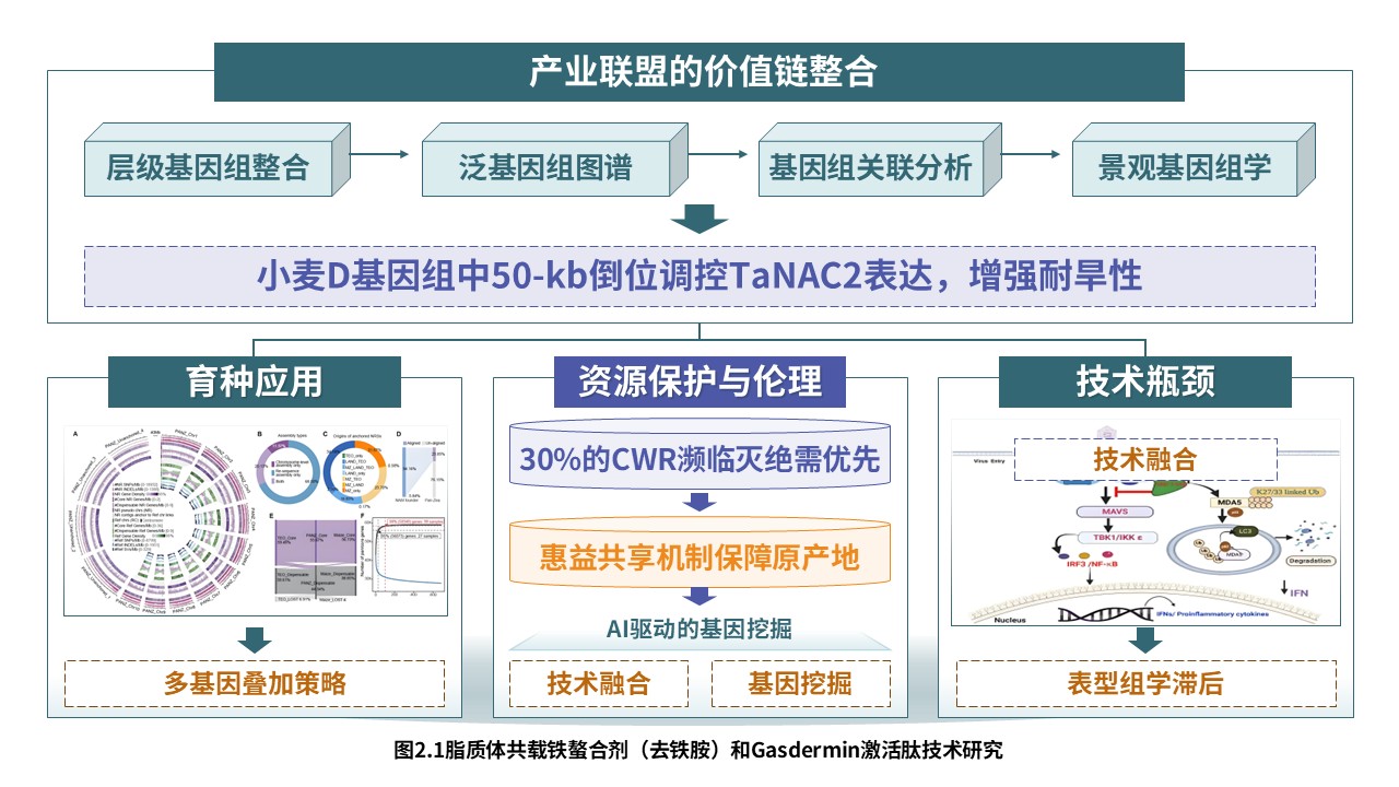 8-2技术路线图（迈向气候智能型育种-绿紫红）第6页预览图