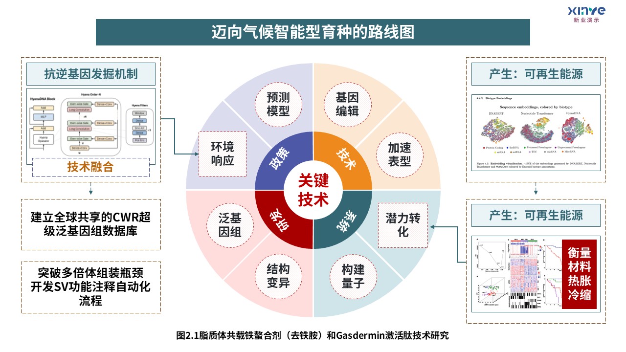 8-2技术路线图（迈向气候智能型育种-绿紫红）第7页预览图