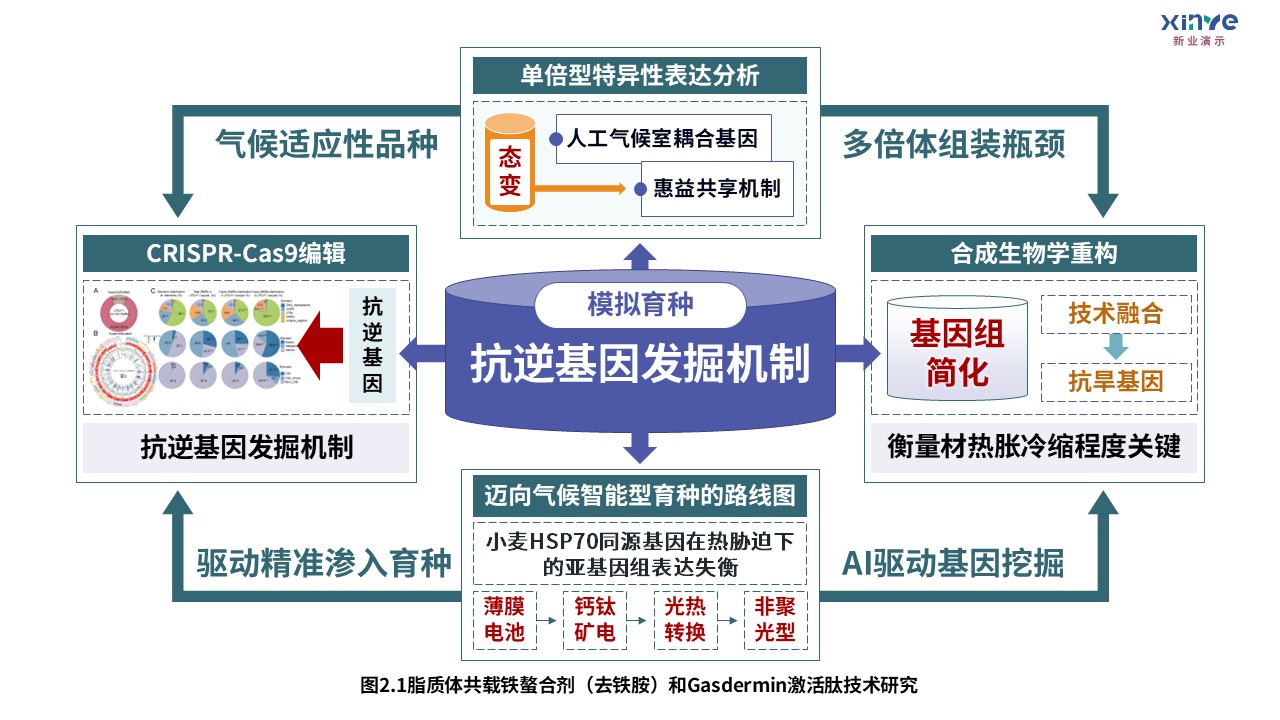 8-2技术路线图（迈向气候智能型育种-绿紫红）第8页预览图