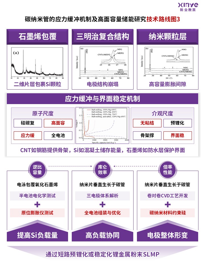87-2科研绘图（碳纳米材料-紫色）第3页预览图