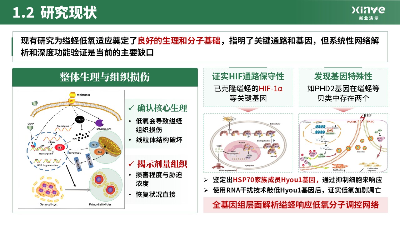 全国大学生生命科学竞赛(分子调控机理研究) 第4页预览图